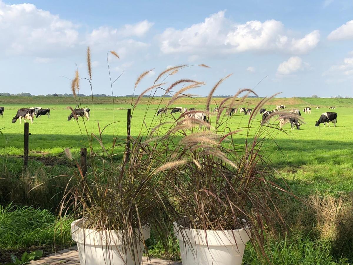 Het Leeuwterveld Panzió Sint Jansklooster Kültér fotó